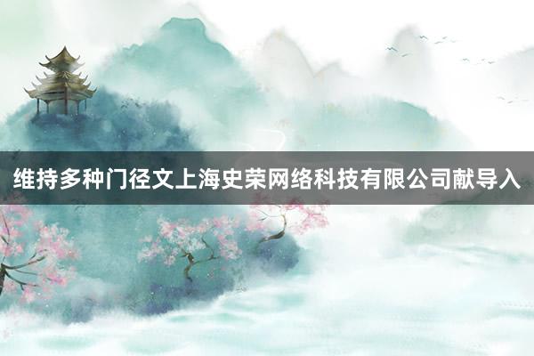 维持多种门径文上海史荣网络科技有限公司献导入