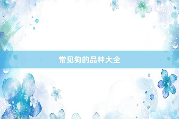 常见狗的品种大全